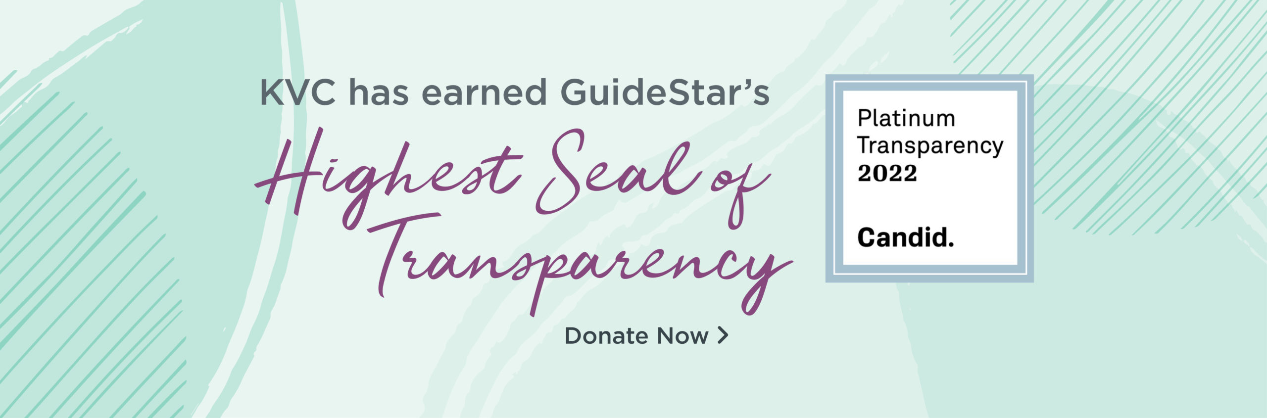 Guidestar Platinum 1300x429