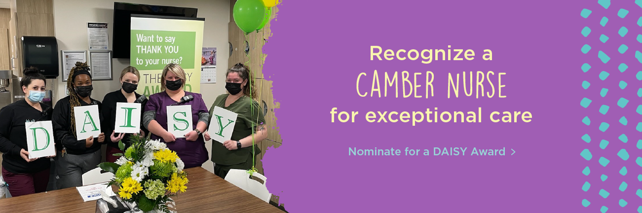 Camber - DAISY Award Web Slider B