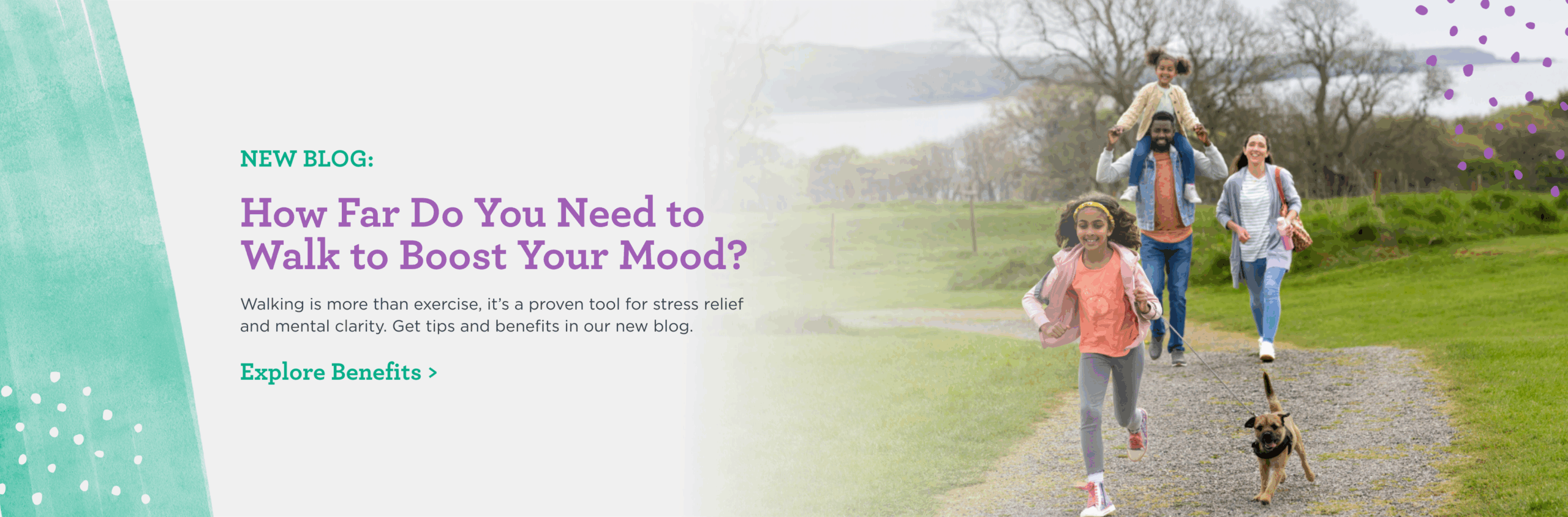 Camber Walking Blog Web Slider - desktop