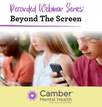 beyond the screen webinar