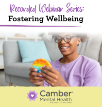 fostering wellbeing webinar