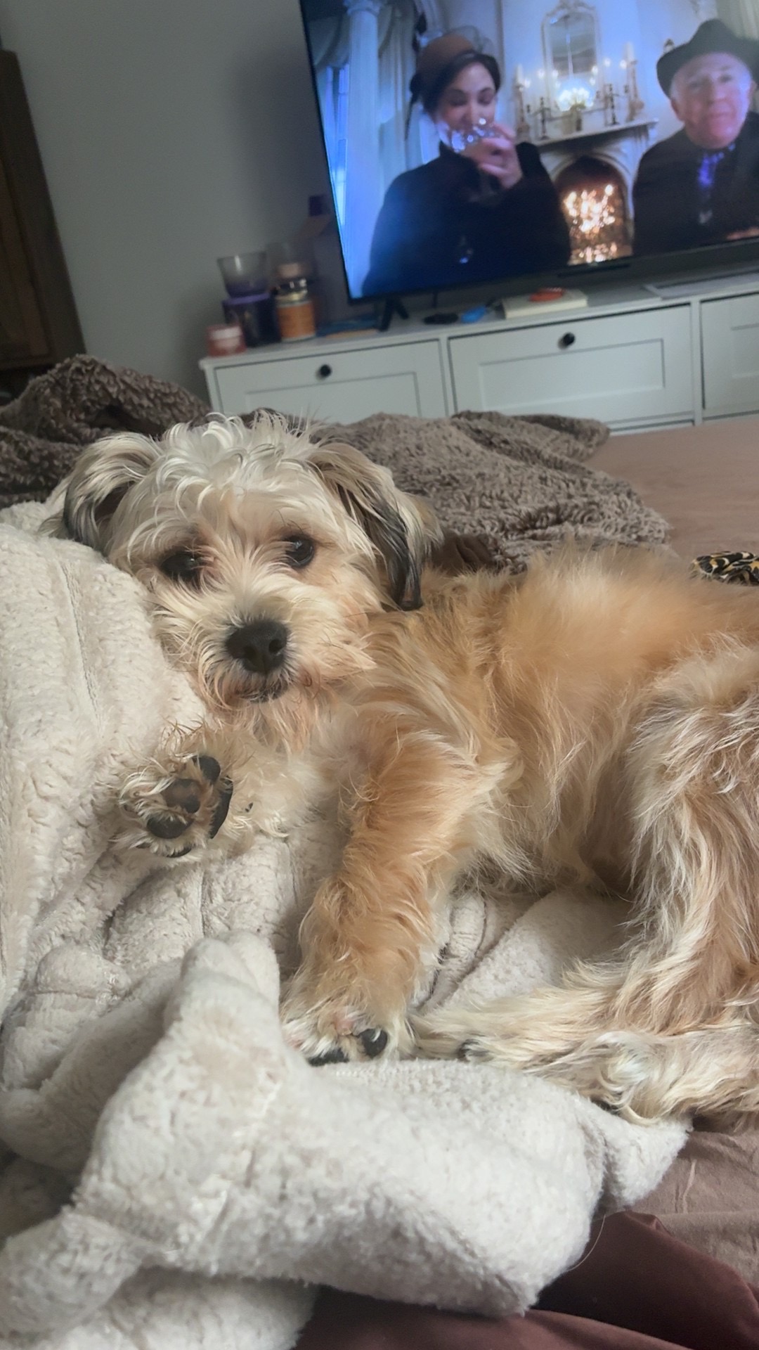 Olive who is loved by Coryana, Case Manager