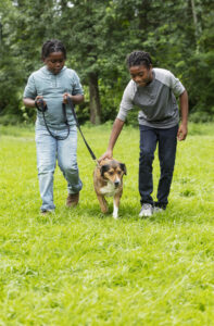 Two boys walking a dog on a leash in a grassy field. They are brothers, 9 and 11 years old.